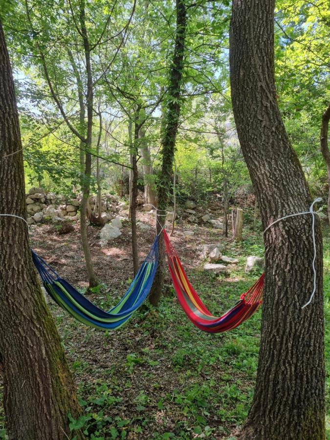 Wolf & Sheep Nature & Adventure Podgorica Exterior foto