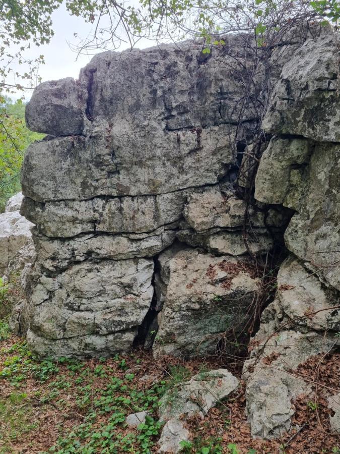 Wolf & Sheep Nature & Adventure Podgorica Exterior foto