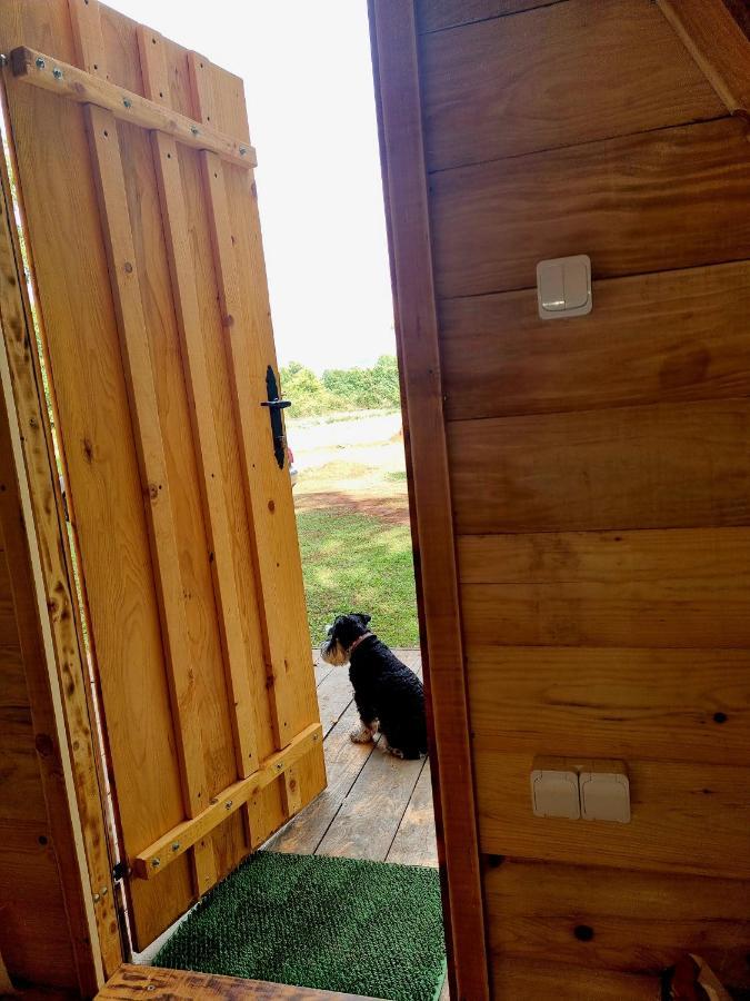 Wolf & Sheep Nature & Adventure Podgorica Exterior foto
