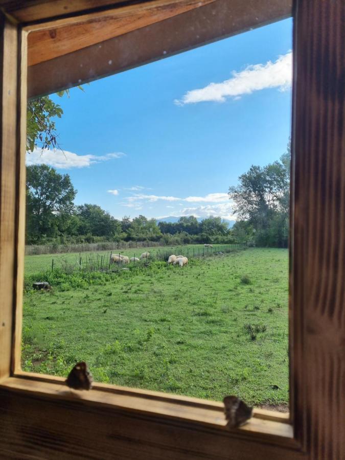 Wolf & Sheep Nature & Adventure Podgorica Exterior foto