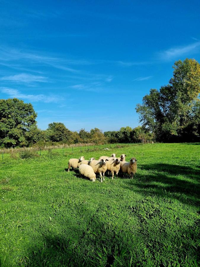 Wolf & Sheep Nature & Adventure Podgorica Exterior foto