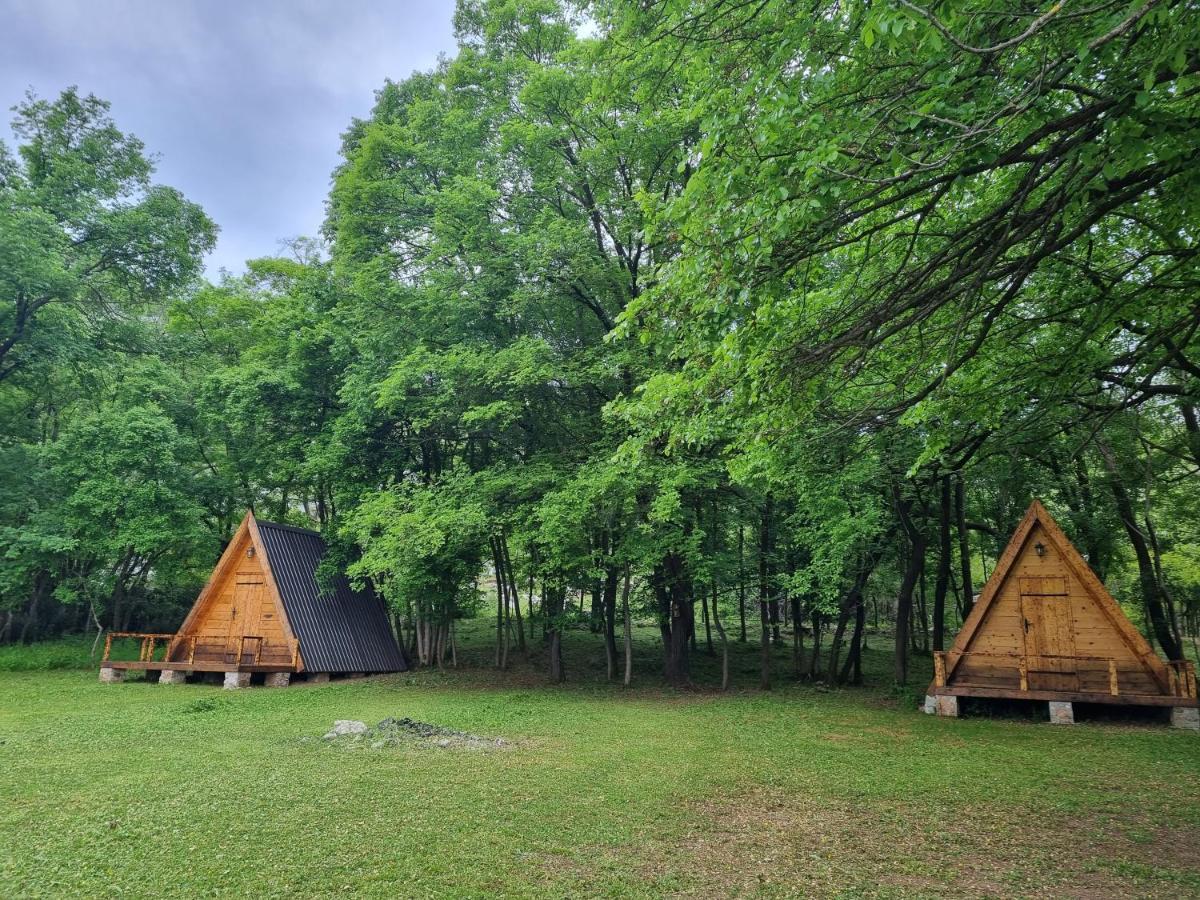Wolf & Sheep Nature & Adventure Podgorica Exterior foto